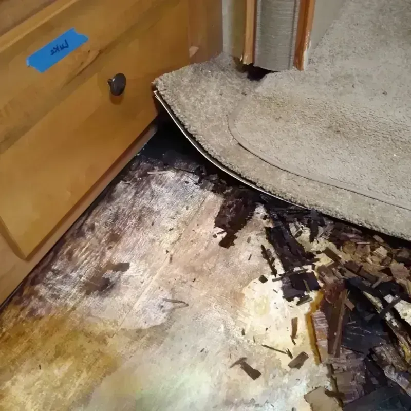 Wood Floor Water Damage in Alamosa, CO